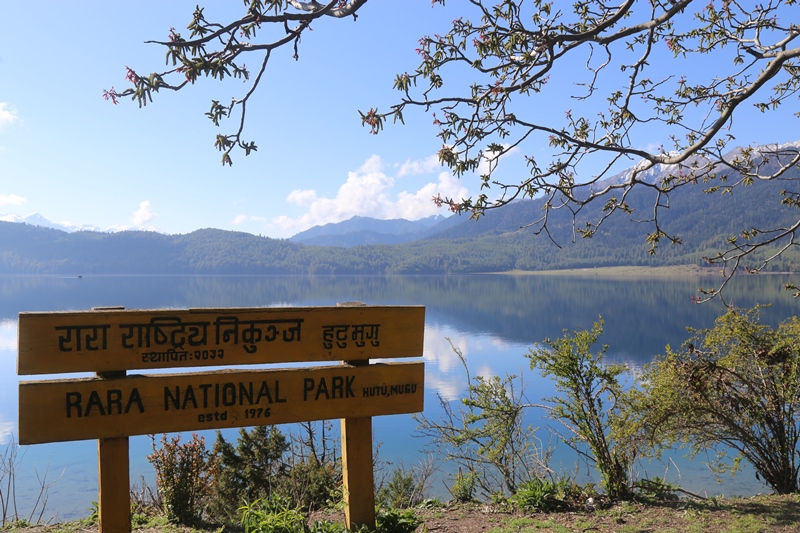 ४९ बर्षसम्म उस्तै रारा निकुञ्ज