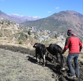 जलबायूको असरमा किसान