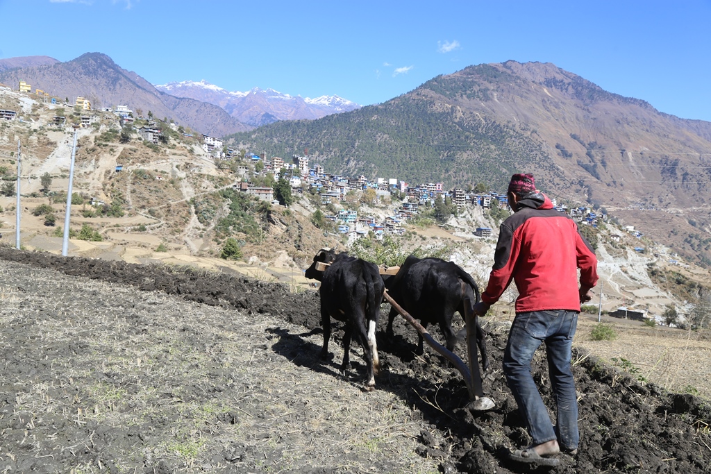 जलबायूको असरमा किसान