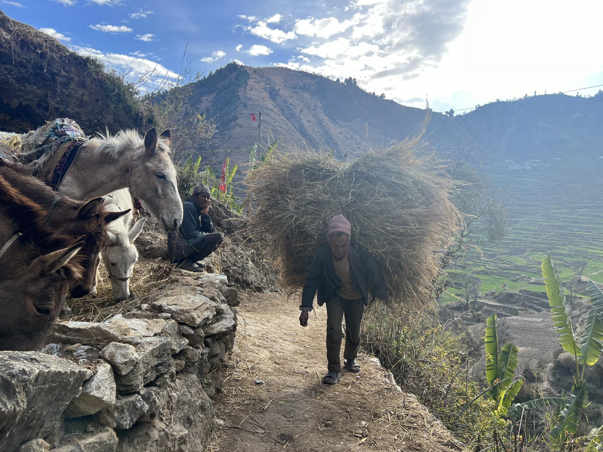 मुगु नखर्जी गाउको सेरोफेरो