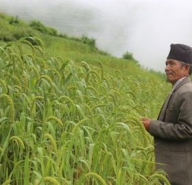 कागुनो माग बढदै उत्पादन घटदै