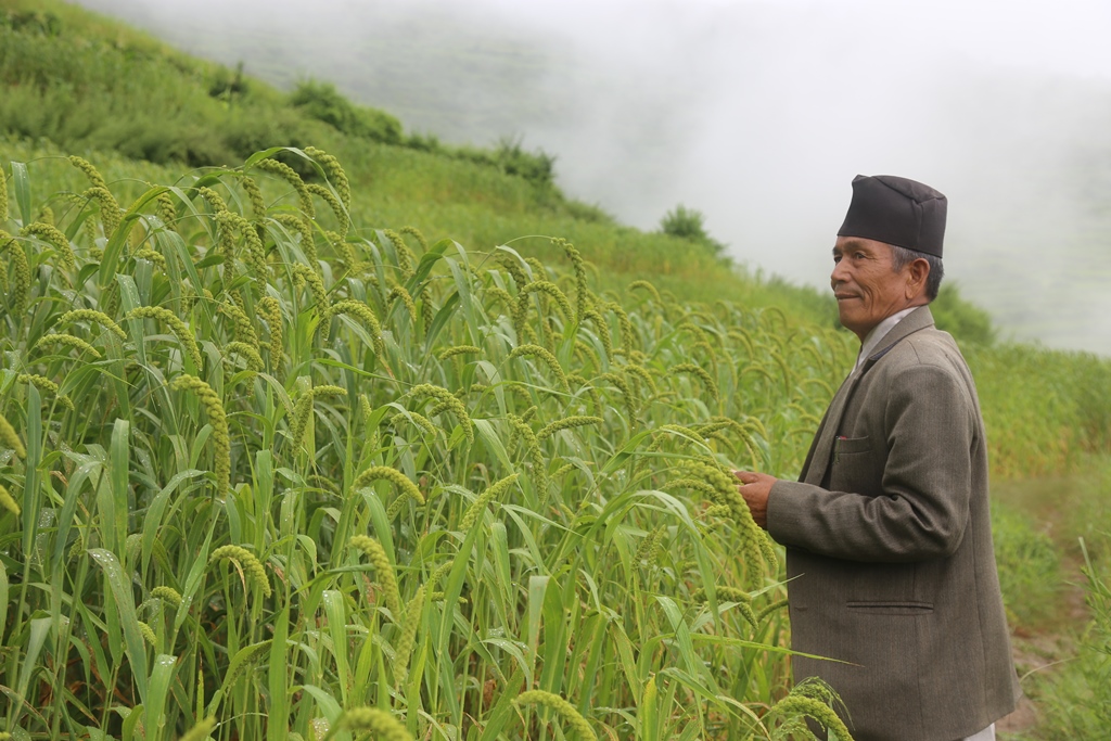 कागुनो माग बढदै उत्पादन घटदै