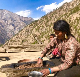 कर्णालीमा लोपहुदै पुख्र्यौली तेल