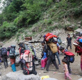 हिमाली भेगमा यार्चा टिप्ने सिजन सुरु