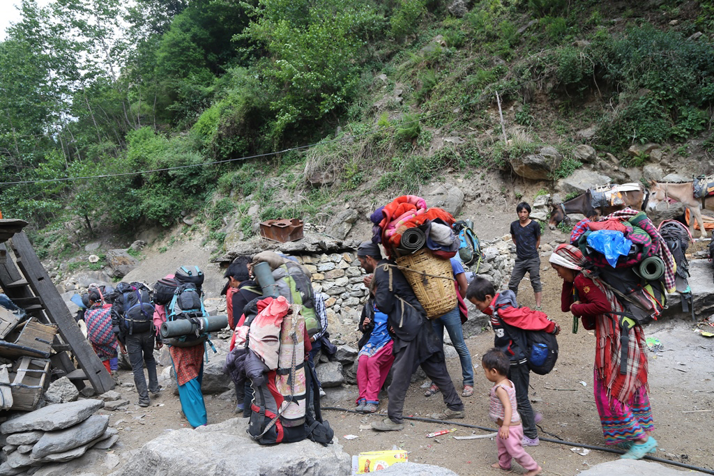 हिमाली भेगमा यार्चा टिप्ने सिजन सुरु