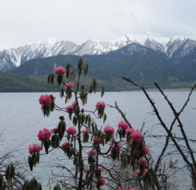 पर्यटकिय गन्त्ब्य रारामा प्लाष्टिक प्रतिबन्द