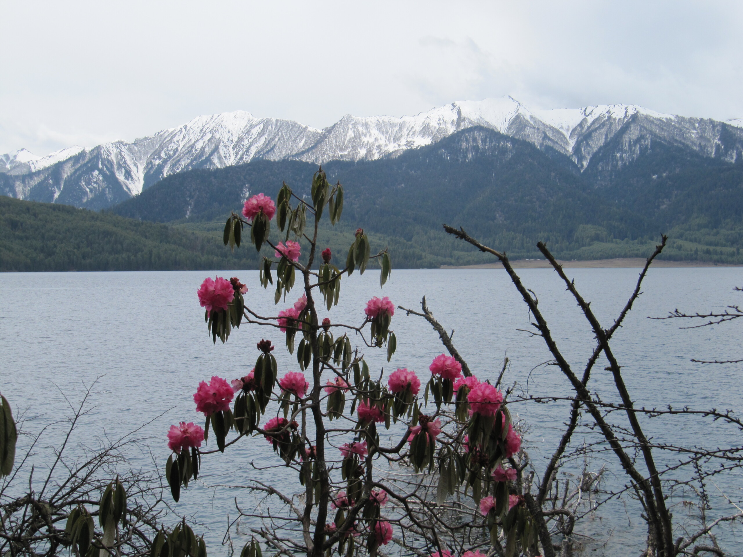 पर्यटकिय गन्त्ब्य रारामा प्लाष्टिक प्रतिबन्द