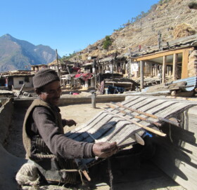 राडीपाखा बुनेर आम्दानी