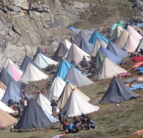 मुगुम कार्मारोङमा यार्सा बाट ६९ लाख राजश्व असुली