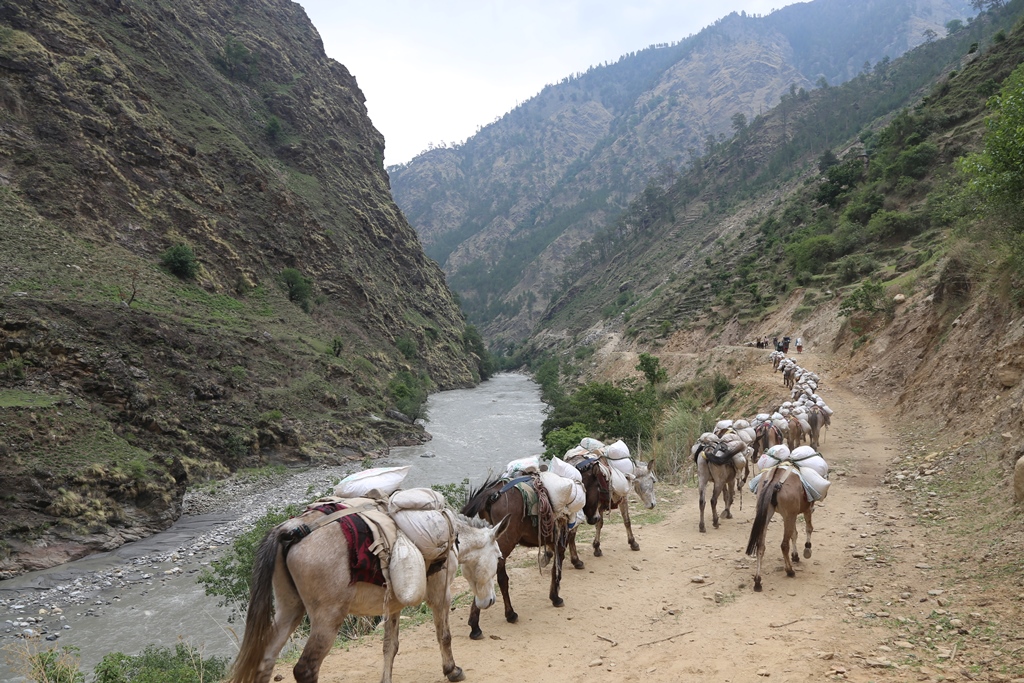 सडक पुगेपछि हिमाली ट्रक बिस्थापित