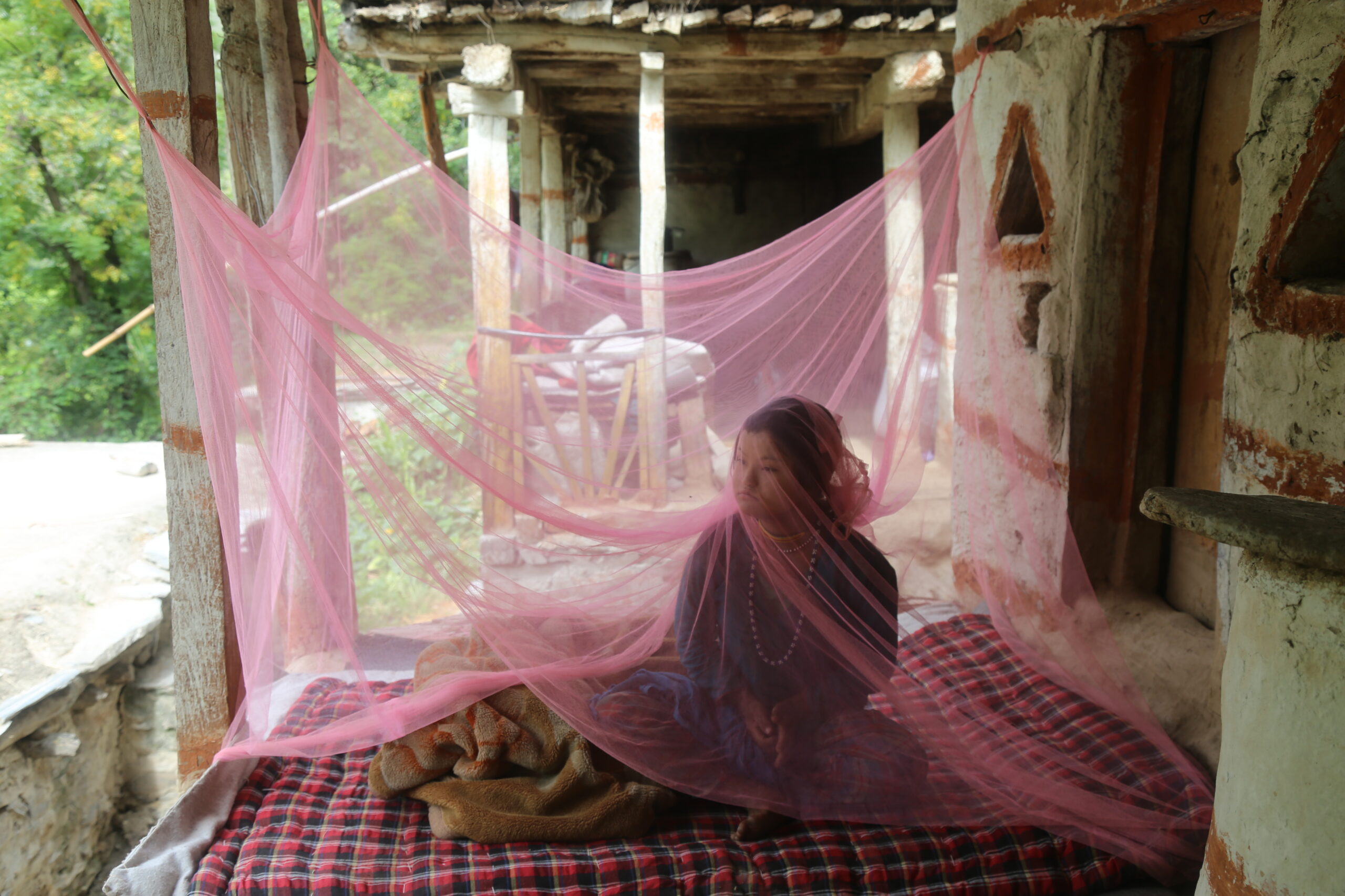 तराईका लामखुट्टे हिमालमा उक्लिदै