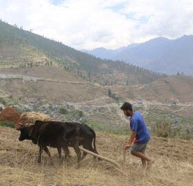 खडेरीले किसानलाई बाली लगाउन कठिन