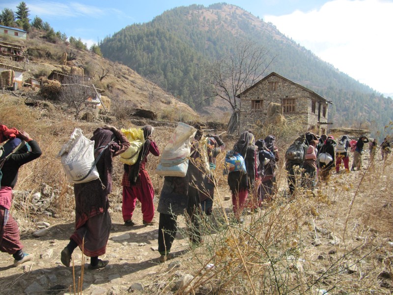 जुम्ला सिंजाका महिला बिकास निर्माणमा अग्रसर