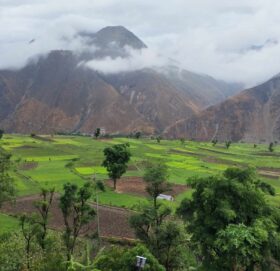 बर्षा सुरु भएपछि, किसान उत्साहित