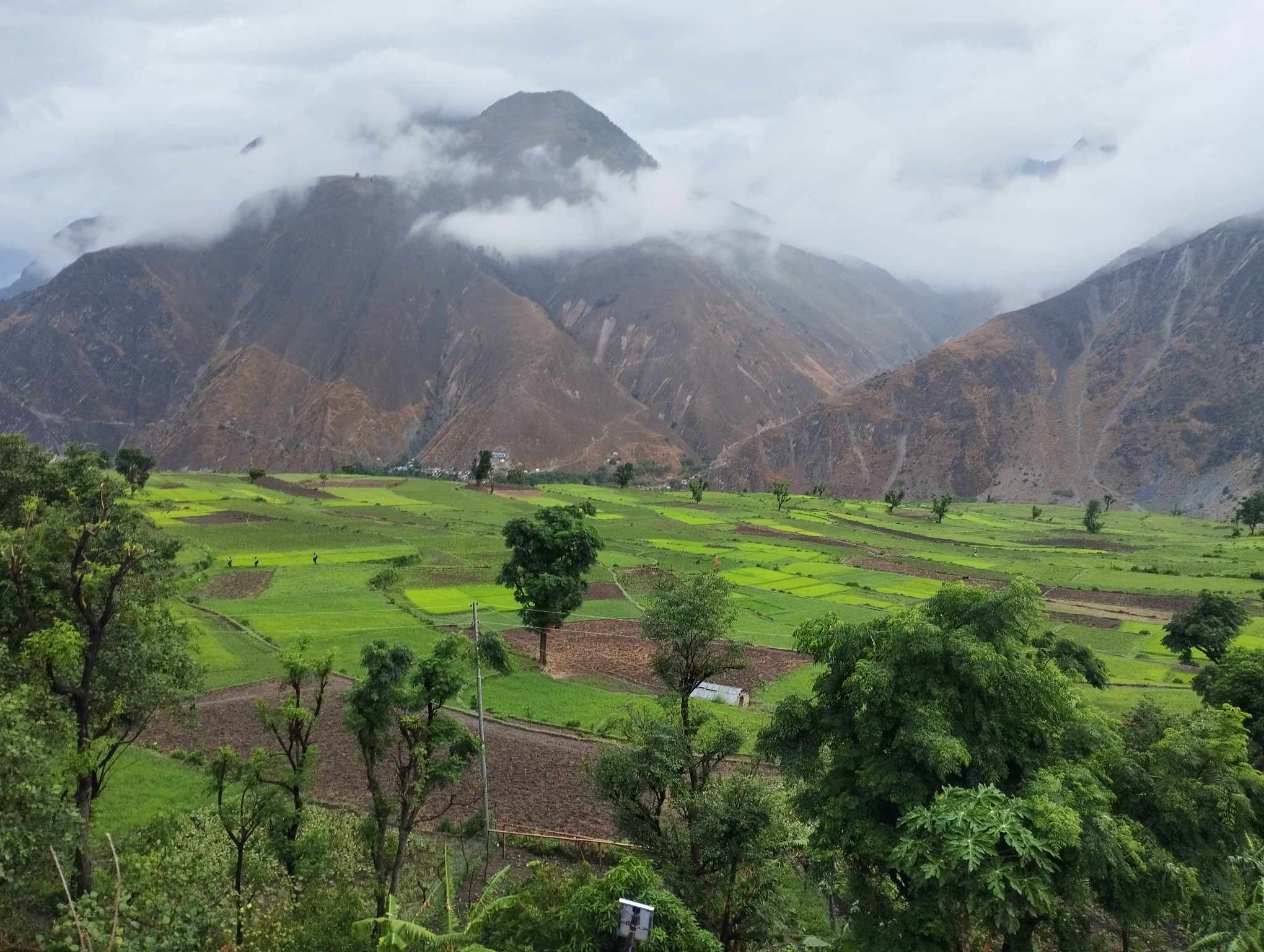 बर्षा सुरु भएपछि, किसान उत्साहित