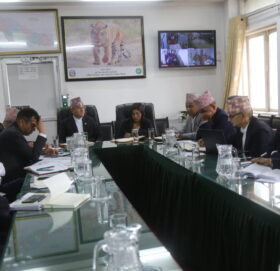 काम छोडेर बिदेश भ्रमण नगरौ ः वनमन्त्री शाही