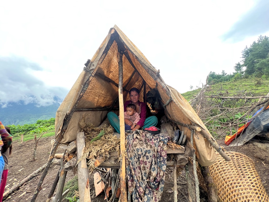 गोठालाको छानो