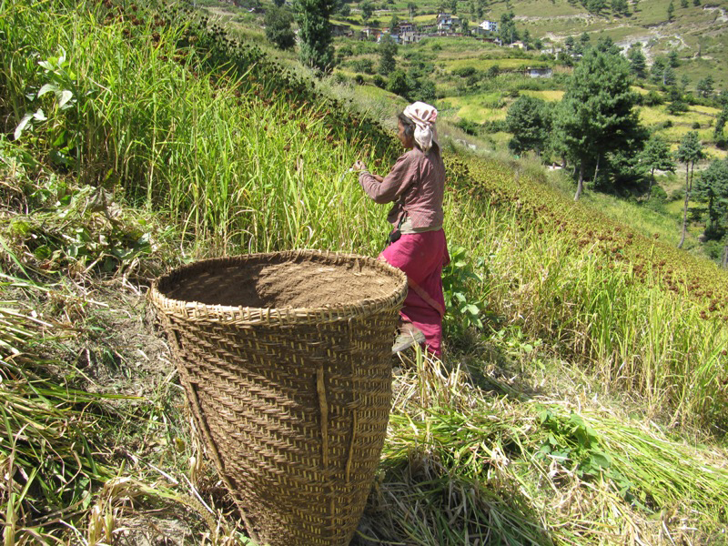 मुगुमा दसैंको बेग्लै चटारो
