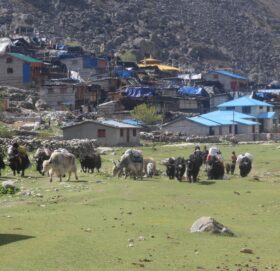 तिब्बती छिमेकी बस्तीमा गरिवीको दुष्चक्र