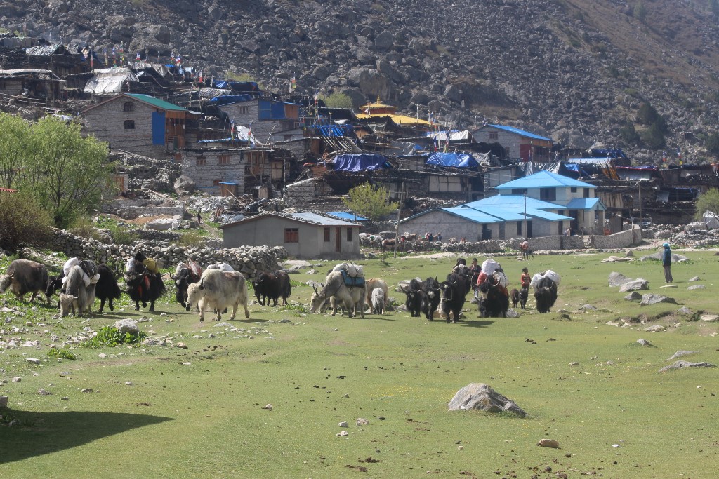 तिब्बती छिमेकी बस्तीमा गरिवीको दुष्चक्र