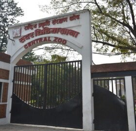 सदर चिडियाखानाको ब्याबस्थापन प्रकृति कोषलाई