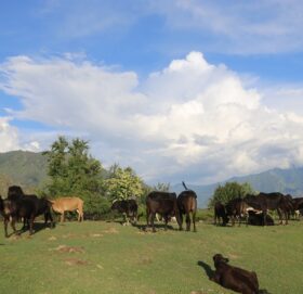 कर्णाली र सुदुरपश्चिम बाट मनसुन बाहिरियो