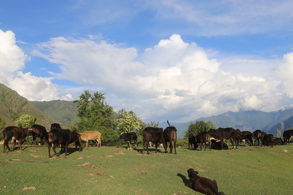 कर्णाली र सुदुरपश्चिम बाट मनसुन बाहिरियो