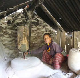 पानी घट्टमा अन्न पिस्दै मुगुकी महिला