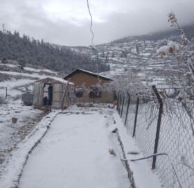 हुम्लामा हिमपात चिसोले जनजीवन प्रभावित