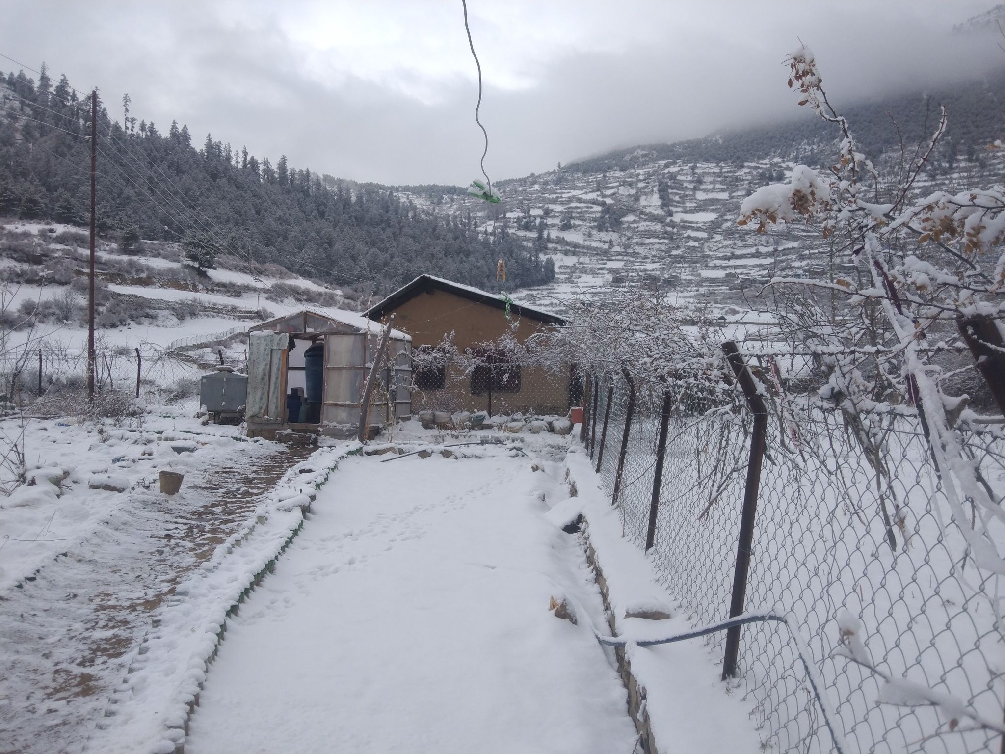 हुम्लामा हिमपात चिसोले जनजीवन प्रभावित