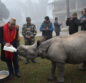 गैडाको संरक्षणमा हातेमालो गरौ  :  वनमन्त्री शाही