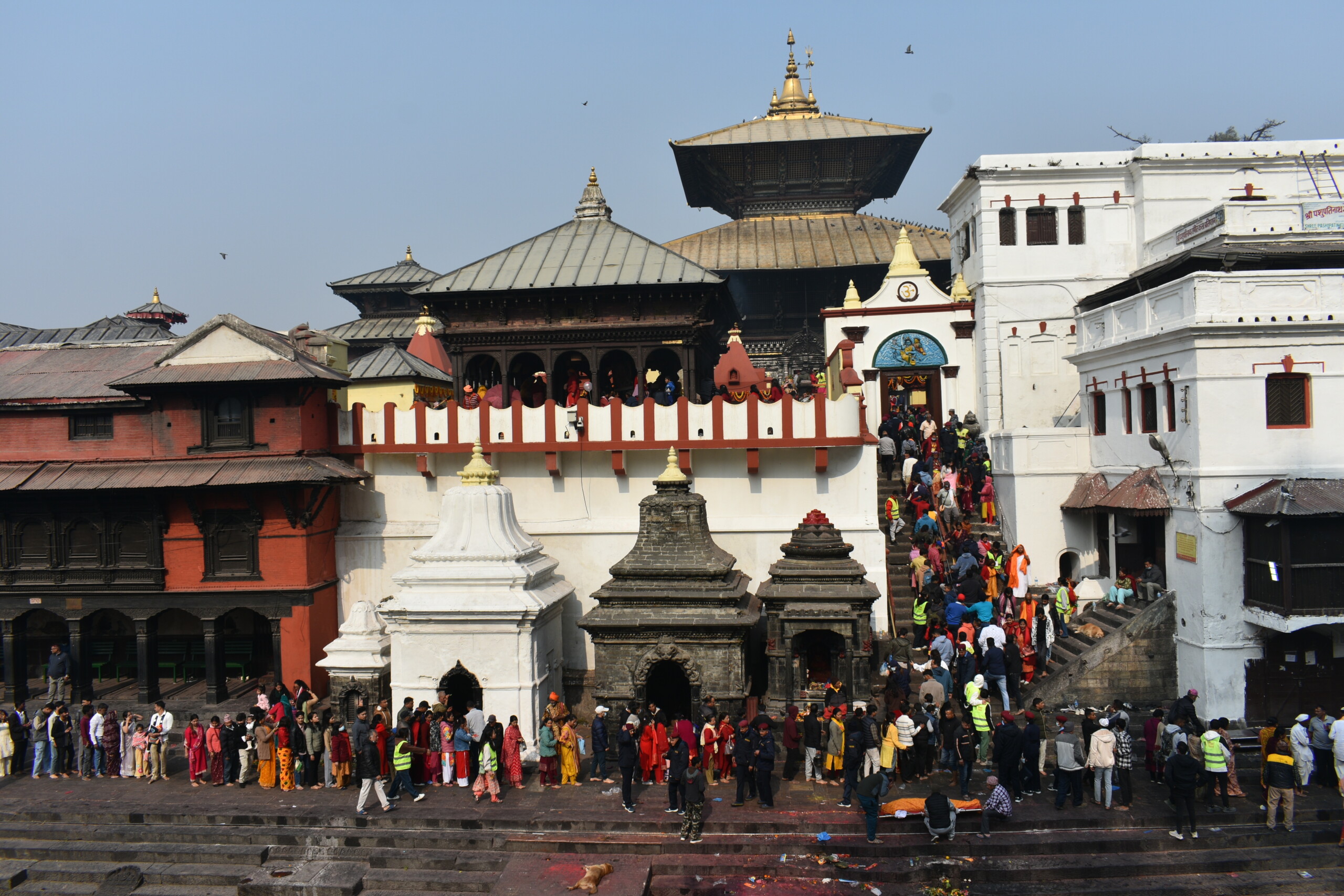 सात लाख भक्तजनद्धारा पशुपतिनाथको दर्शन