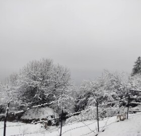 रारामा हिमपात, बेशीमा झरी