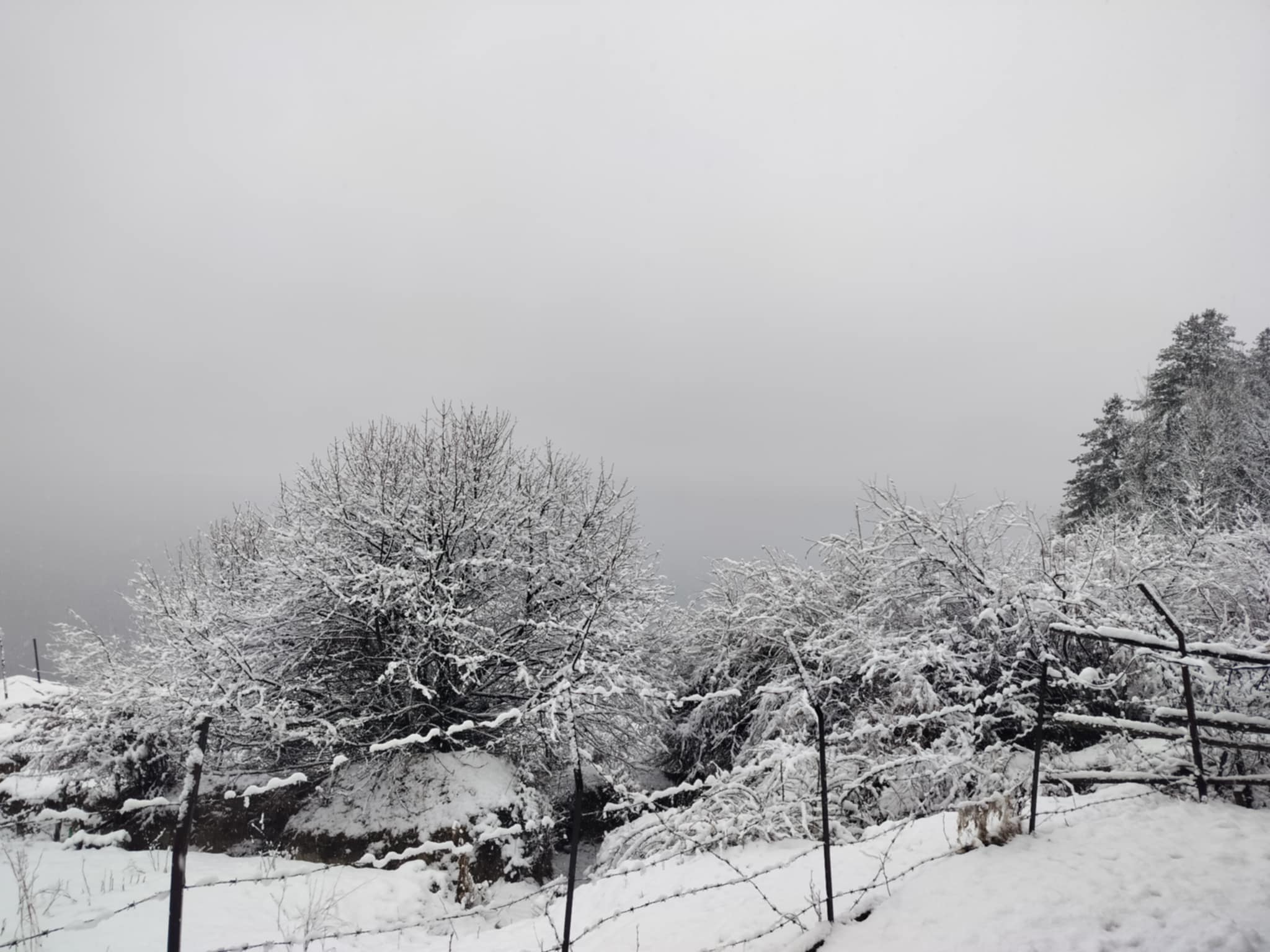 रारामा हिमपात, बेशीमा झरी