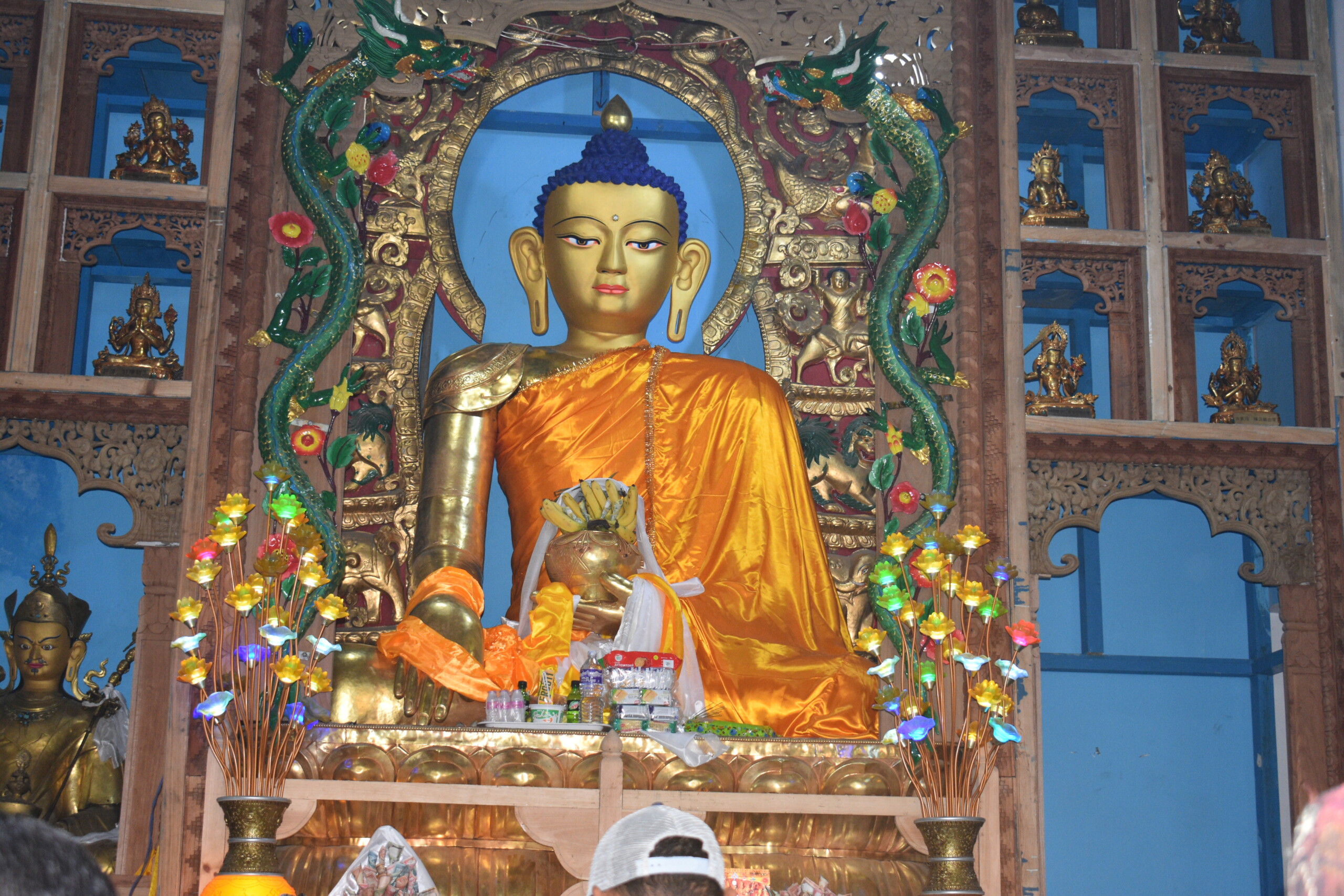 आज २५६९ औँ बुद्ध जयन्ती मनाइदै