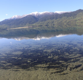 जलवायु परिर्वतनको प्रभावमा राराका असला