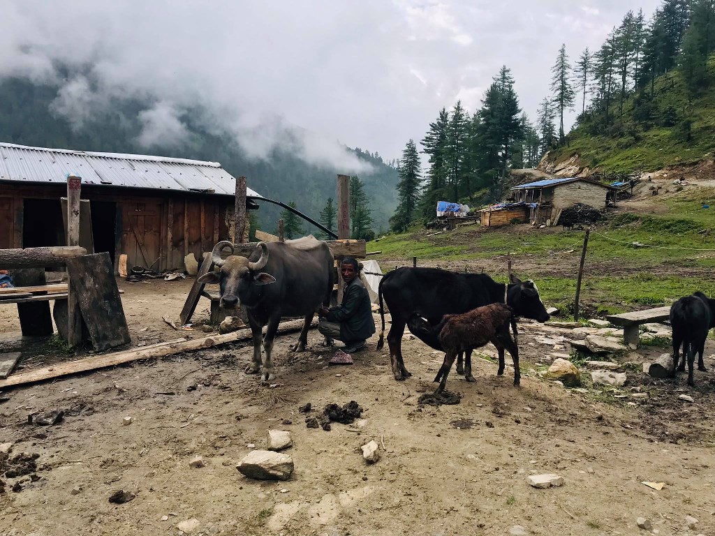 खर्कतिर उक्लिए गोठाला