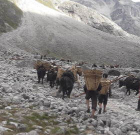 तिब्बत सिमाका बासिन्दालाई सधै नुनको पीर