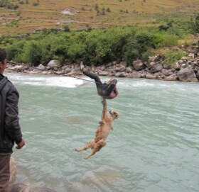 कर्णालीमा ५० स्थानमा तुइन रहेको प्रारम्भिक अध्यायन