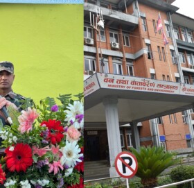 वन मन्त्री शाहीको एक वर्ष  : नीतिगत र संस्थागत सुधारमा  सफल