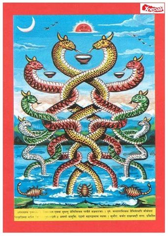 नागको पूजाआराधना गरि आज नागपञ्चमी पर्व मनाइदै