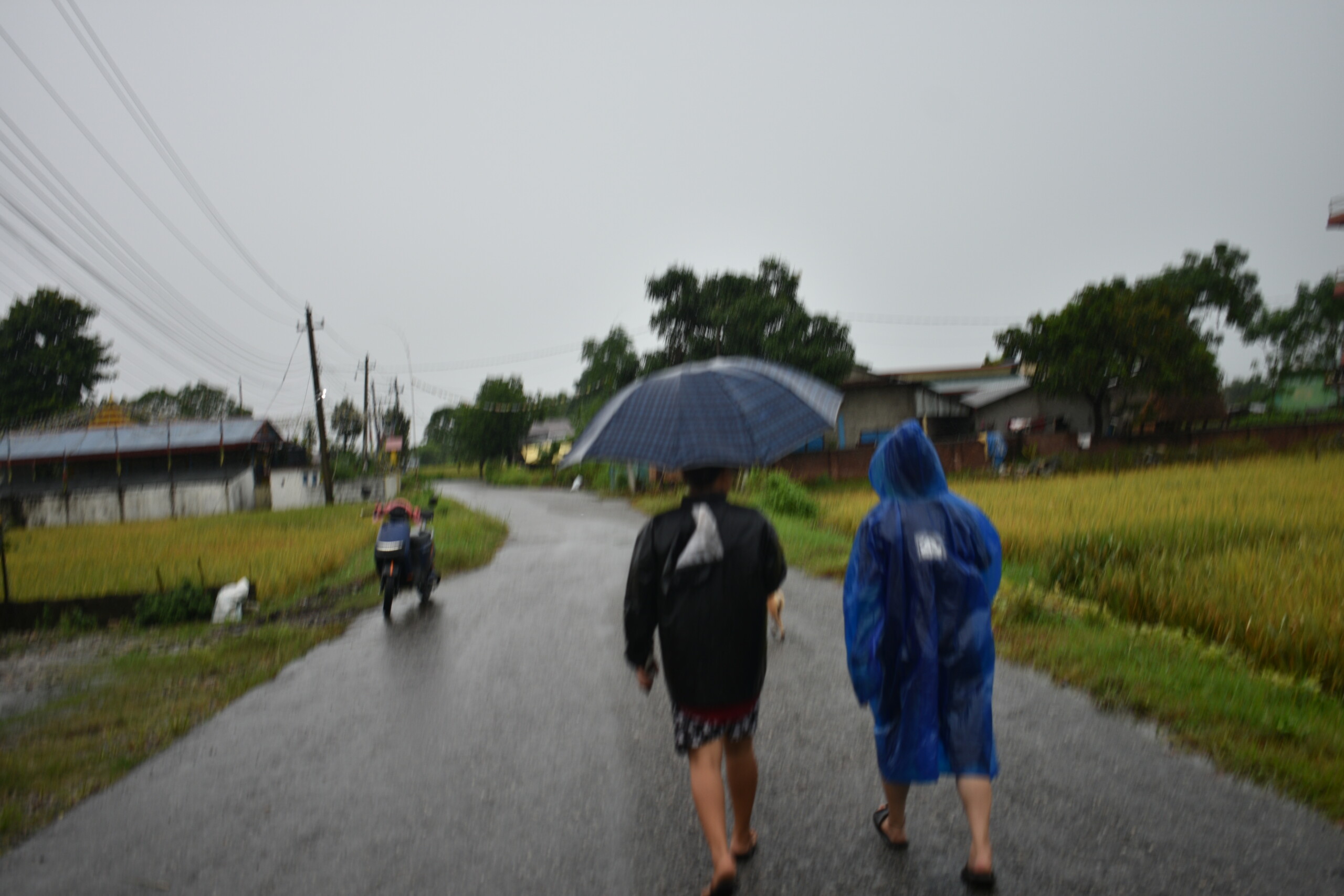 भीषण वर्षालाई मध्येनजर गर्दै सरकारले दियो २ दिन सार्वजनिक बिदा