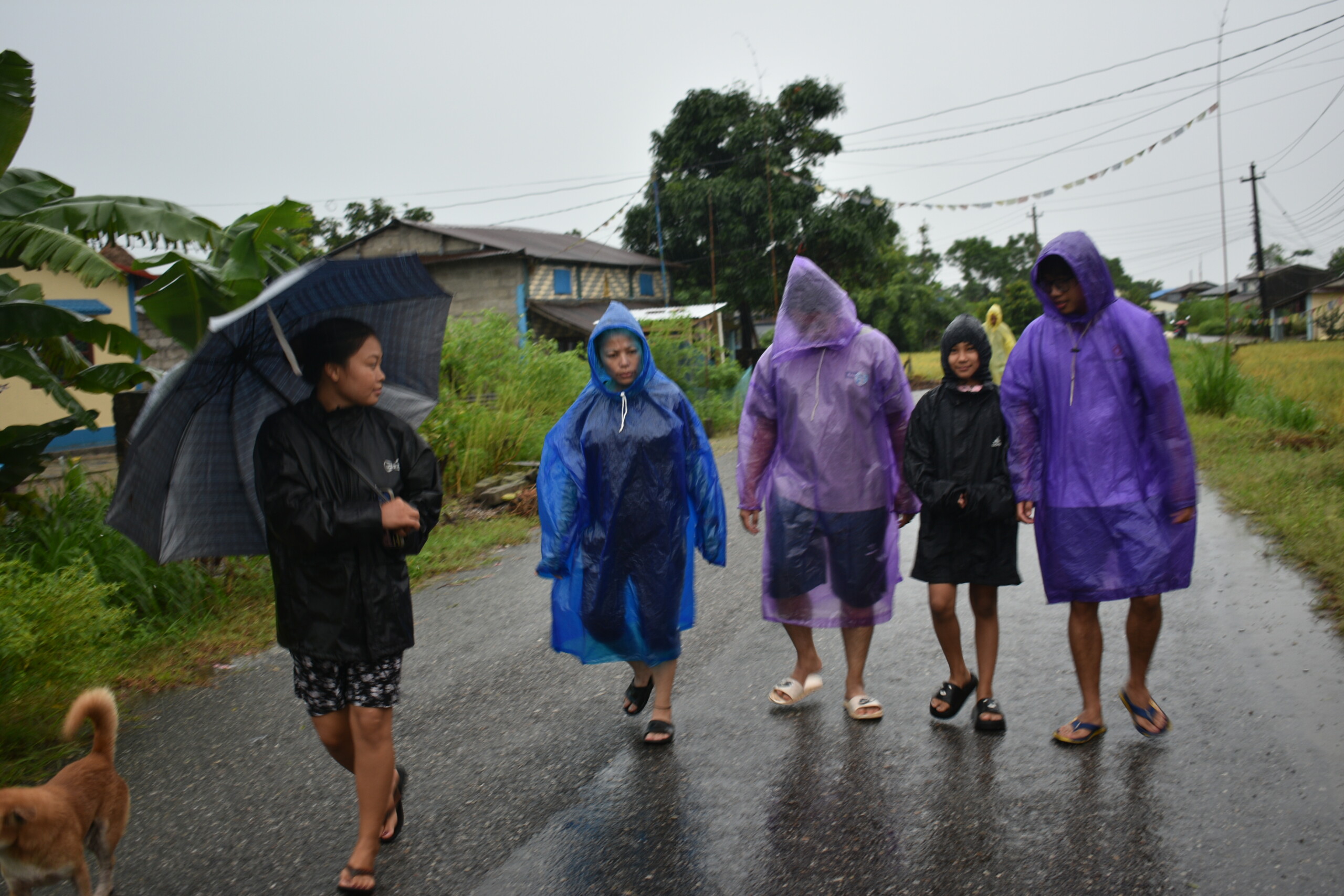 देशका बिभिन्न स्थानमा भारी बर्षा जनजीवन अस्तब्यस्त