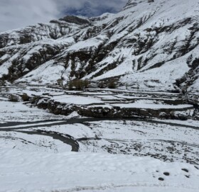 मुगु र डोल्पाको उच्च हिमाली बस्तीमा हिमपात