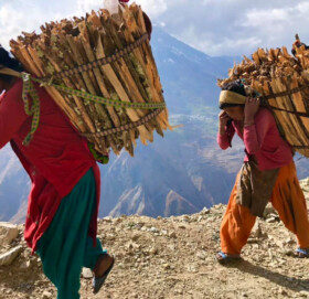 भीई गाउँका स्थानीयलाई दाउराको दुःख