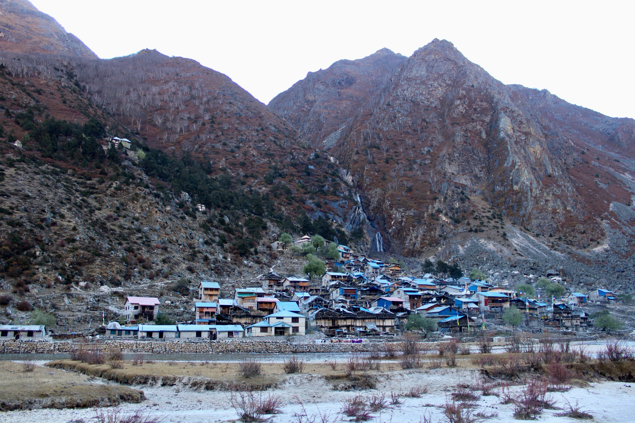 मुगु  गाउँमा  चिसो बढेपछि स्थानीय बेश झर्न सुरसार