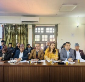 विदेशमा रहेका नेपालीलाई अनलाइन माध्यमबाट मताधिकार सुनिश्चित गर्न माग