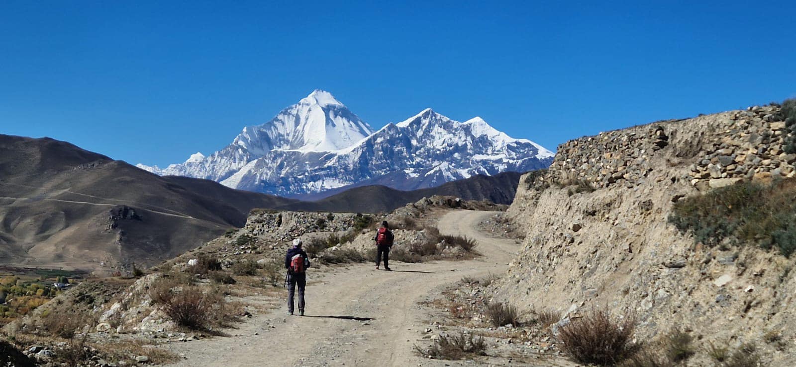 आज अन्तर्राष्ट्रिय पर्वत दिवस बिभिन्न कार्यक्रम गरि मनाइदै