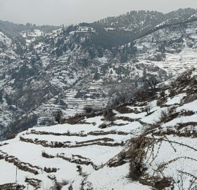 हिउँले  सेताम्य मुगु उत्साहित कृषक