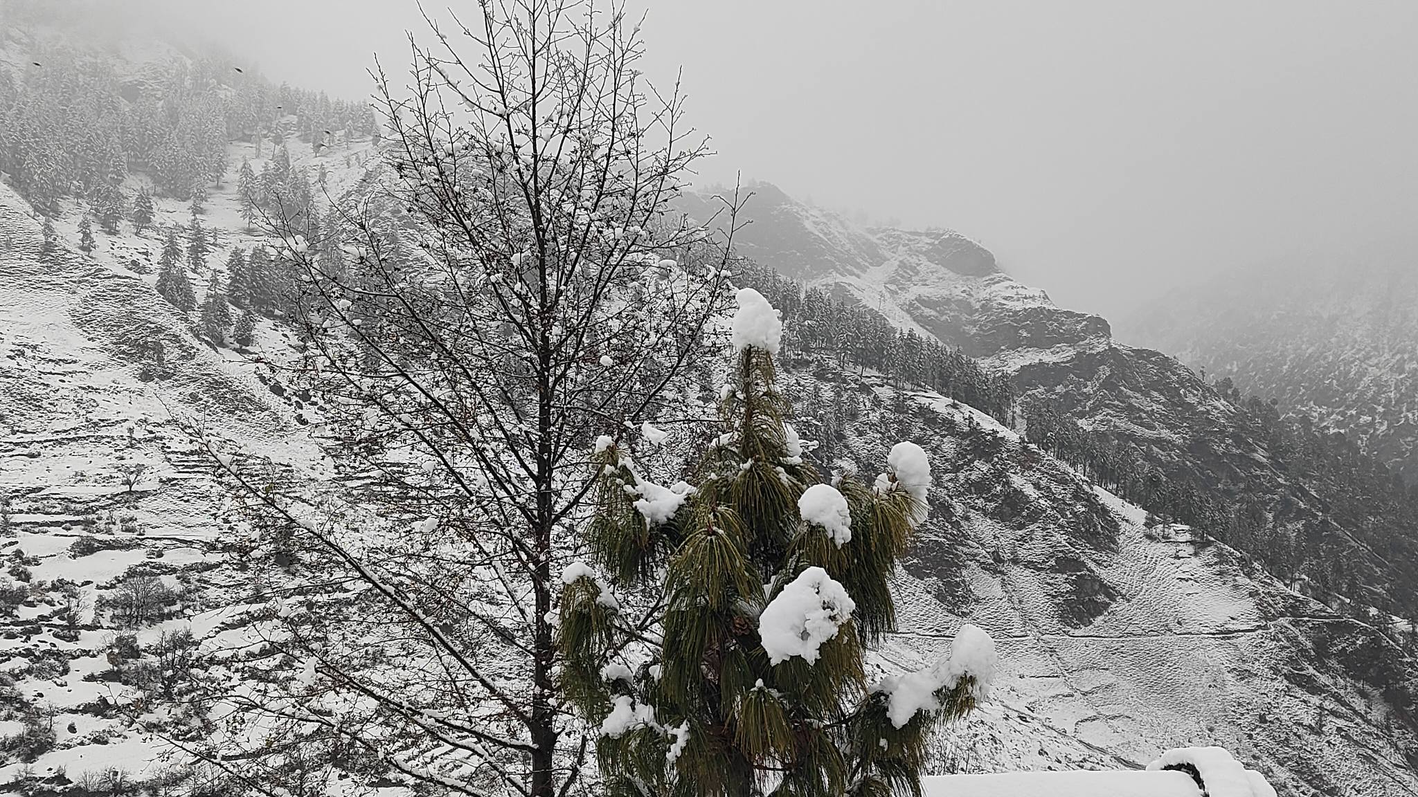 मुगु र हुम्लामा फेरि हिमपात